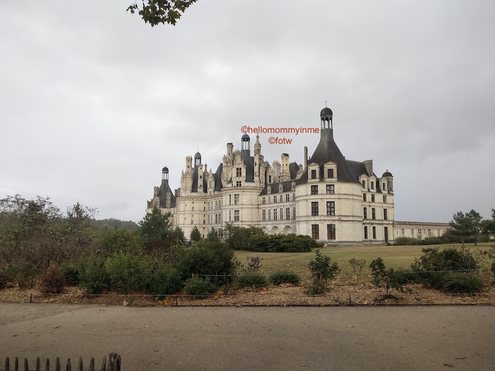 If you are visiting Paris, you must take out atleast one day to explore the beauty of Loire Valley, a valley close to Paris, very near the city of Tours is famous for its Royal and Historical Castles (Château) , Vineyards and Wines #Wine #winetasting #Château #Paris #LoireVally #Tours #France #Europe #Chambord