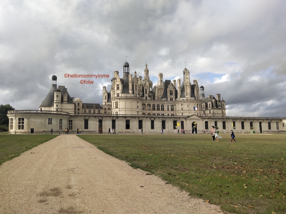 If you are visiting Paris, you must take out atleast one day to explore the beauty of Loire Valley, a valley close to Paris, very near the city of Tours is famous for its Royal and Historical Castles (Château) , Vineyards and Wines #Wine #winetasting #Château #Paris #LoireVally #Tours #France #Europe #Chambord
