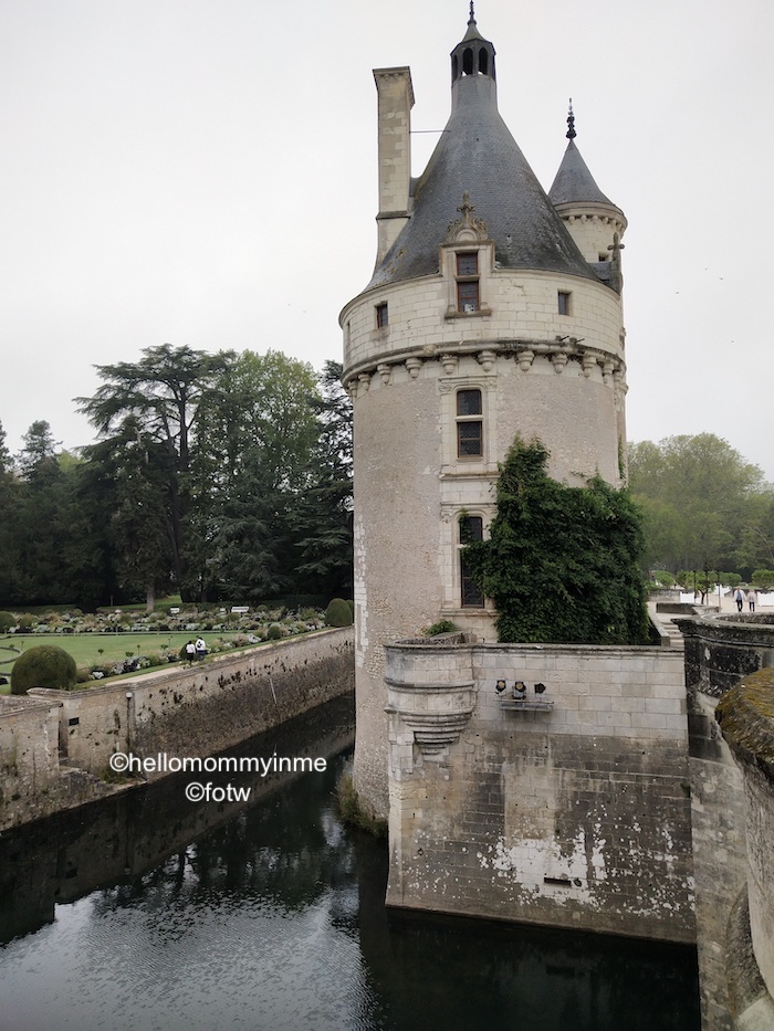 If you are visiting Paris, you must take out atleast one day to explore the beauty of Loire Valley, a valley close to Paris, very near the city of Tours is famous for its Royal and Historical Castles (Château) , Vineyards and Wines #Wine #winetasting #Château #Paris #LoireVally #Tours #France #Europe #Chambord