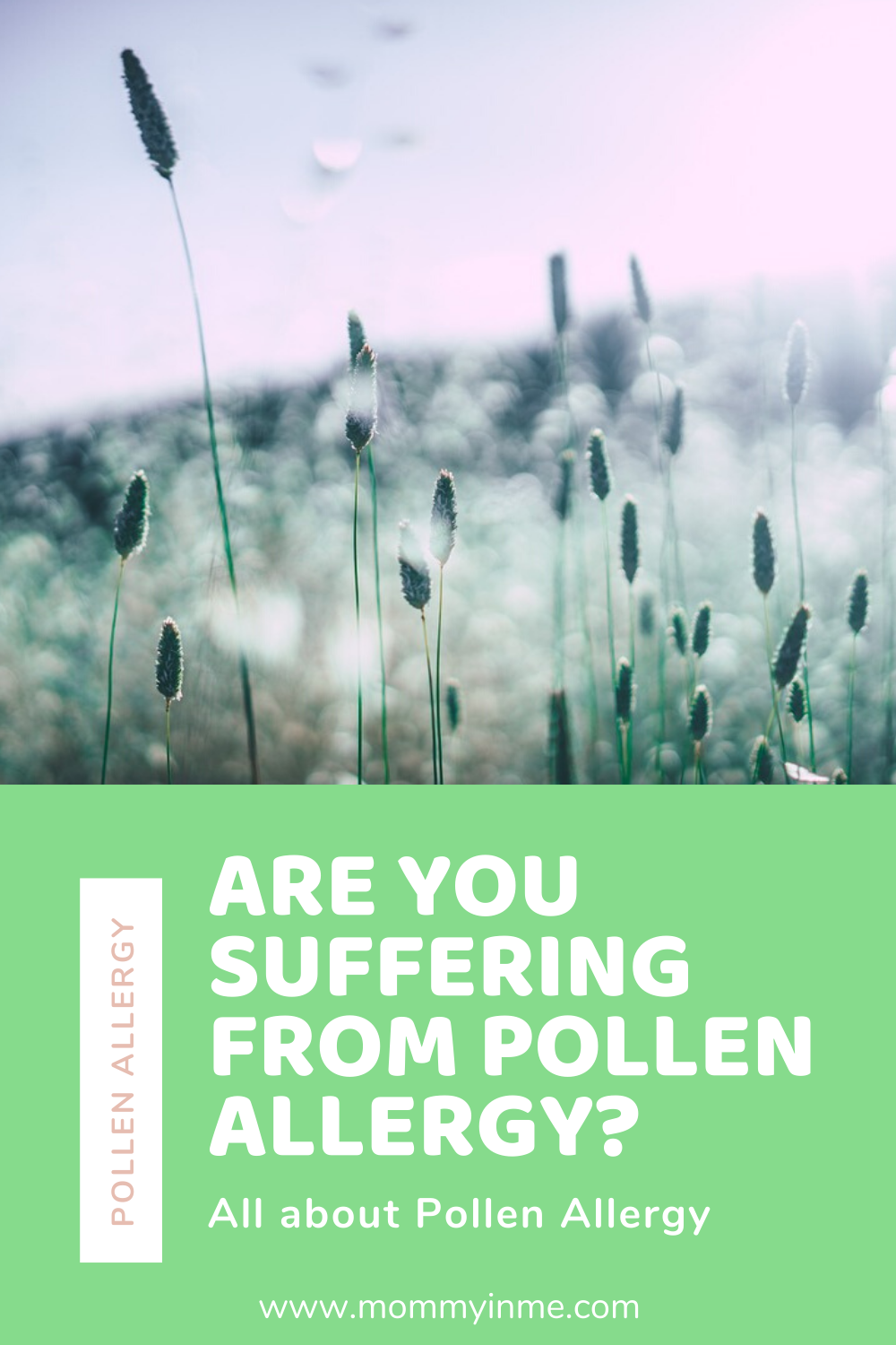 Are you suffering from seasonal allergy, precisely Pollen Allergy or Rhinitis in this Spring season? If yes, check out these precautions for a better health #pollenallergy #hayfever #rhinitis #sinusitis #seasonalallergy #allergy #zyrtec #antihistamines