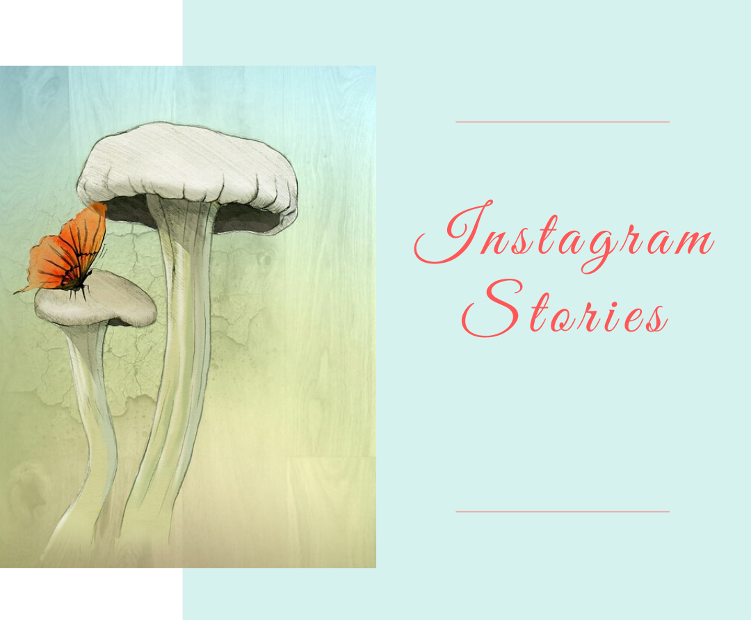 6 Best Apps for Instagram Stories