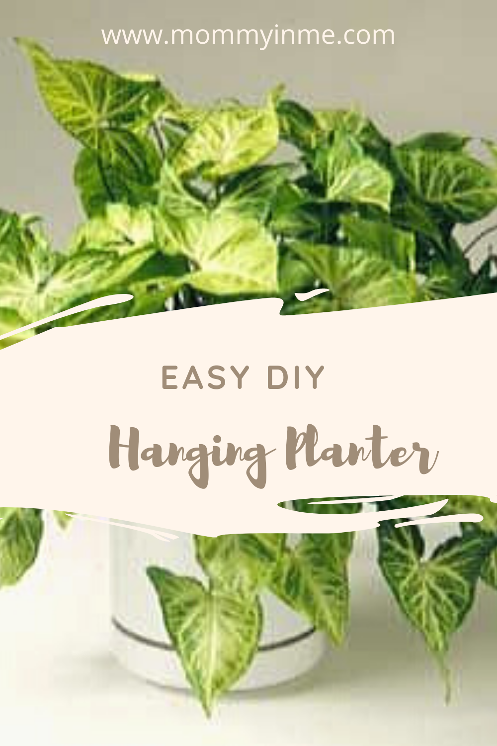 Making an easy DIY Hanging Planter with kids is fun and this way you can also revamp up your interior game #decor #indoorplant #hangingplanters #DIY #artandcraft #craft