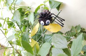 DIY PineCone Spider: Art and craft for kids