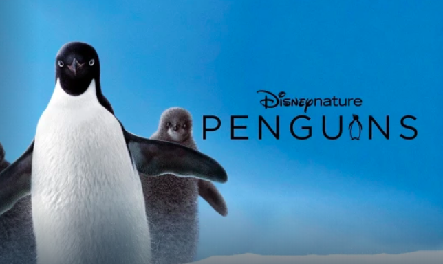 With DIsney+ Hotstar launched in India, get a glimpse of some of the best Disney Movies you canw atch as a family while we all are quarantined. #disney+ #disneyhotstar #disneymovies #blogchatterA2Z #besydisneymovies #penguinsmovie