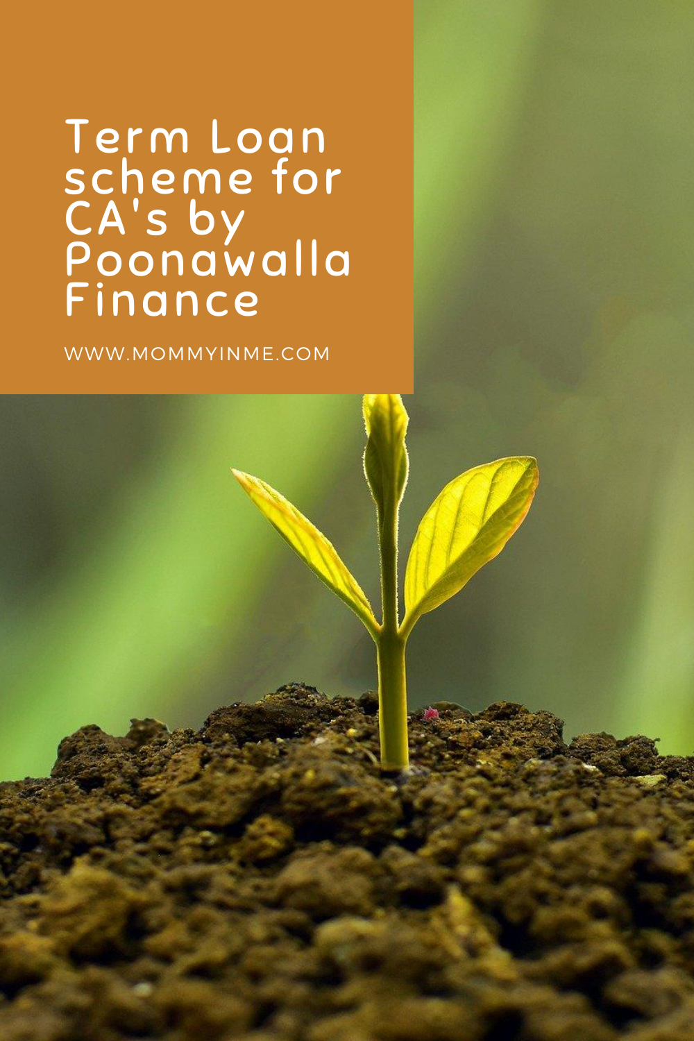 A Special Term Loan scheme for Chartered Accountants (CAs) by Poonawalla Finance  #PoonawallaFinance  #termloan #covid #economy #CharteredAccountants