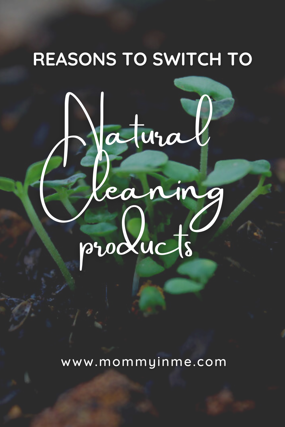 Why should you switch to natural cleaning products for home? PUER's range of plant-based , natural home care and cleaning solutions #PUER #naturalproducts #plantbased #liquid detergent #naturalcleaner #toxinfree